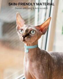 Separate Cat Collars With Name Tags: Suitable For Both Male And Female Cats, Super Soft And Adjustable Elasticity (6 "-12") Cat Collars With Separate Safety Buckles, Kitten Collars With QR Code ID Tags - Mint Green - View 7