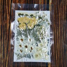 100pcs/Pack DIY Dried Flowers Daisies Leaves, Hydrangeas, Multiple Natural Pressed Flowers Colorful Decorative Dried Flowers For DIY Craft Resin Jewelry Making Scrapbook Supplies Card Making Soap Candle DIY, Valentine Day, Gift Gifts Birthday Graduation - 彩色 - 查看 4
