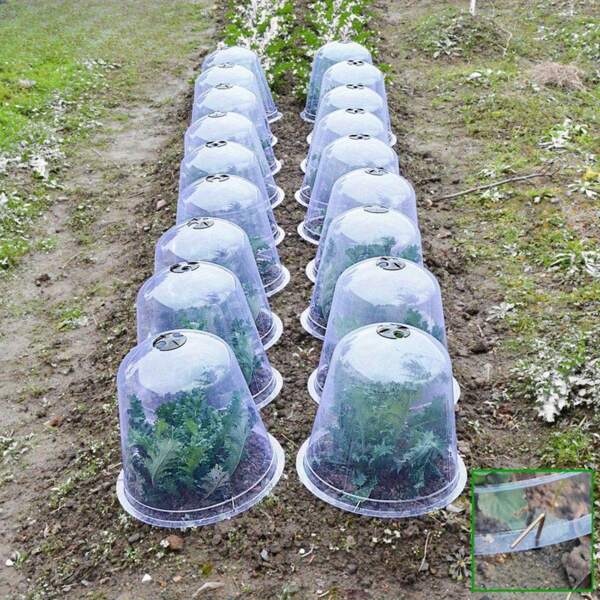 5 stuks ronde, verdikte, transparante plantenhoezen voor groenten, zaailingen en korte planten - herbruikbare ongediertewerende beschermers, vochtvasthoudend, koepelvormige plastic hoezen voor tuin en buiten, tuinplantenhoes | transparante plantenhoes | vochtvasthoudende hoes, tuinplantenbescherming