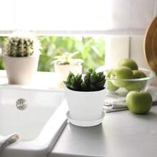 36 macetas para vivero de 4 pulgadas, macetas de plástico gruesas para plantas y flores, macetas blancas con bandeja, contenedores de plantas para jardín, interior y exterior - Blanco - Ver 7