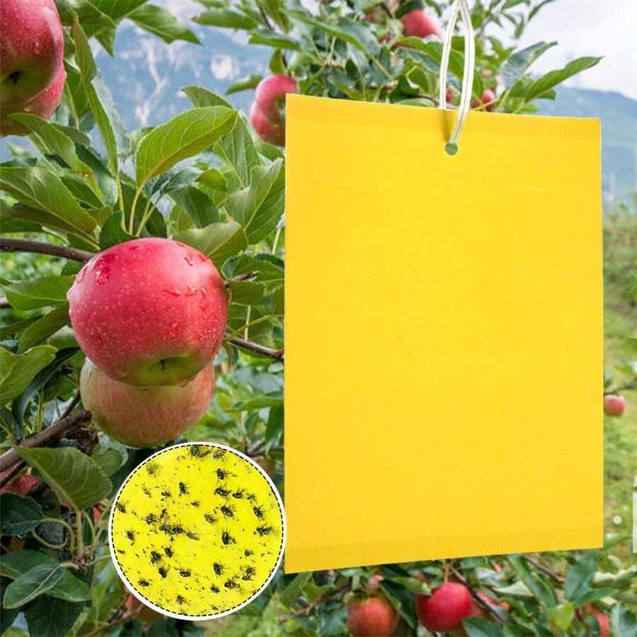 Insektenfallen, 50 doppelseitiges Klebepapier, gelbe Klebepapiere für