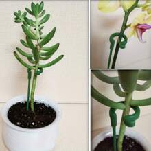 10pcs Flower/Gardening Plant Support Stick, Potted Phalaenopsis Succulent Plant Orchid Support Stake, Reusable Garden Fixing Tool For Potted Plants, Flower Support, Beans, Potted Tomato Fixing, Vegetable Gardening Tools