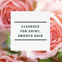 Herbal Essences Rose Hips Shampoo - Smooth, Shiny Hair With Vitamin E &Amp; Jojoba, Safe For Color Treated Hair, Floral Scent, Cruelty-Free, Dermatologist-Tested, 29.2 Fl Oz - Unscented - View 4