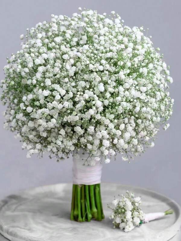 50/20/10/5pcs Eternal Babys Breath Flowers, White Babys Breath, Realistic Preserved Flowers, Actual Touch Babys Breath Bouquet, For Wedding Flower Arrangement, Party Decor