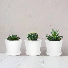 36 macetas para vivero de 4 pulgadas, macetas de plástico gruesas para plantas y flores, macetas blancas con bandeja, contenedores de plantas para jardín, interior y exterior - Blanco - Ver 5