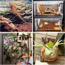 1PC Cork Bark Background, Natural Climbing Accessories For Reptiles Turtle Spider, Bring Nature To Your Pet