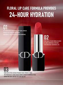 Christian Dior Dior Rouge Dior 唇膏 764 Rouge Gipsy Velvet Finish 颜色 3.5g/0.12 盎司 | 高冲击色彩和奢华效果 | 持久耐用 | 鲜艳色素沉着 | 缎面和哑光质地 | 保湿配方 | 完美适合日夜妆容 | 标志性奢华唇彩