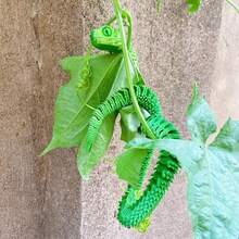 3 件盲盒娃娃 - 动物模型 - 3D 打印动物盲盒娃娃 - 龙 - 异形蛋 - 龙蛋 - 骨蛇 - 超过 1000 种款式 - 限量版隐藏 - 32.25% 新品畅销。2 件 PVC 定制盲盒雕像，塑料注塑软乙烯基雕像，树脂娃娃收藏品 - 娃娃盲盒 - 人物盲盒 - 娃娃盲盒 - 积木盲盒 - 娃娃盲盒 - 动漫周边盲盒 - 限量版 - 稀有限量 - 隐藏惊喜 - 神秘盒 - 开箱惊喜 - 彩色 - 查看 4