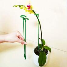 10pcs Flower/Gardening Plant Support Stick, Potted Phalaenopsis Succulent Plant Orchid Support Stake, Reusable Garden Fixing Tool For Potted Plants, Flower Support, Beans, Potted Tomato Fixing, Vegetable Gardening Tools