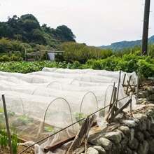 1pc Outdoor Garden Plant Cover - Mosquito Net, Bird Barrier, Patio Screen - Durable Breathable Holiday Gift