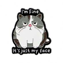 Raccoon, Opossum, Cat Quotes, Brooch, Badge, Clothing, Backpack Accessories, Jewelry, Brooch, Alloy Animal Fun Chest Badge