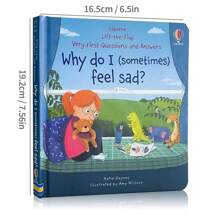 Lachilly Usborne Lift The Flap Very First Questions And Answers Series Book - O que é o amor? Por que precisamos de um penico?/Por que às vezes me sinto bravo?/Por que (às vezes) me sinto triste? Popularização da ciência Livro cognitivo Livros de imagens com abas 3D Educação infantil Livro de inglês para crianças
