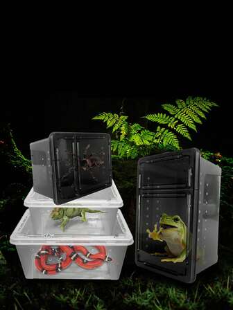 1pc Pet Feeding Box, Reptile Small Feeding Box Pet Snail Crawling Pet Box Hermit Crab Spider Scorpion Horned Frog Lizard Insect Box