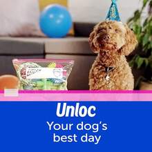 Bolsas de almacenamiento  Slider cuarto 42 ct - 50 Unidades - Ver 3