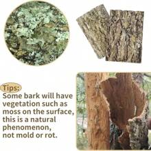 1PC Cork Bark Background, Natural Climbing Accessories For Reptiles Turtle Spider, Bring Nature To Your Pet