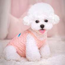 1pc Lightweight Breathable Mesh Sleeveless Dog Clothes, Suitable For Small/Medium Pets, Spring/Summer