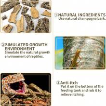 1PC Cork Bark Background, Natural Climbing Accessories For Reptiles Turtle Spider, Bring Nature To Your Pet