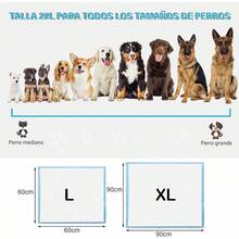 Almohadillas de Entrenamiento para Perro,20 Piezas Tapete Entrenador para Perro,Evitar Fugas,y Transpirable, Estanco, de Rápida Absorción, Apto para Perros de Tamaño Mediano(60x90 ) - SG - Ver 7