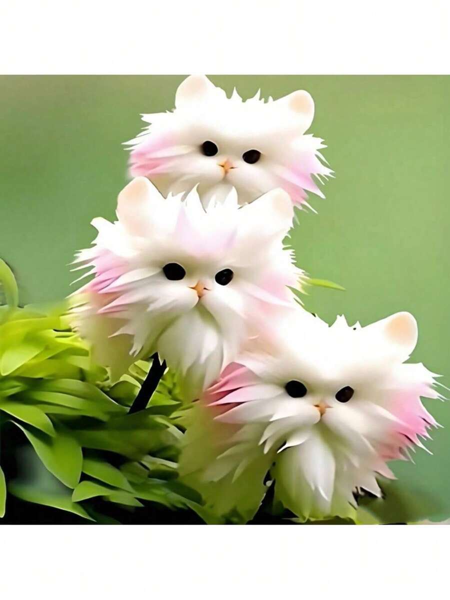 200 Pieces Of Cat's Eye Orchid Flowers, Cute Cat-Shaped Flowers, Soft Blue And Pink, Suitable For Indoor And Outdoor Decoration On Valentine's Day, Christmas, Easter, Thanksgiving, Cold-Resistant And Suitable For All Seasons, Suitable For DIY Gardens, Home Gardens, Flower Pots And Courtyards - Ideal Gardening Gifts - Christmas - Holiday Flowers - Celebration Flowers - Christmas - 200 hạt giống - Xem 1