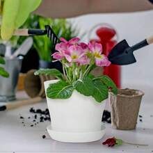 36 macetas para vivero de 4 pulgadas, macetas de plástico gruesas para plantas y flores, macetas blancas con bandeja, contenedores de plantas para jardín, interior y exterior - Blanco - Ver 6