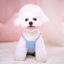1pc Lightweight Breathable Mesh Sleeveless Dog Clothes, Suitable For Small/Medium Pets, Spring/Summer