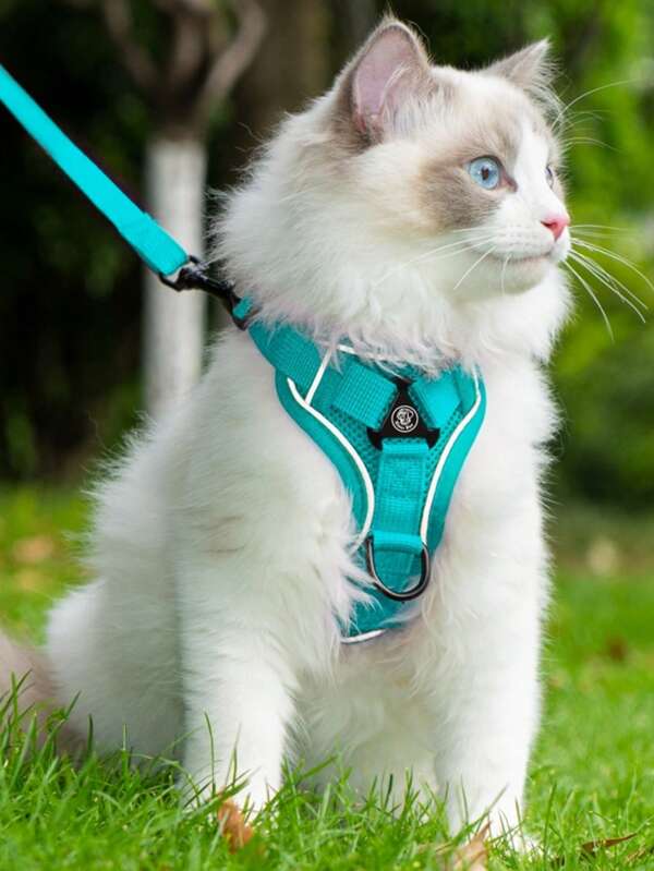Harnais réglable pour poitrine d'animal de compagnie, gilet avec laisse. Sangle anti-fugue pour promenade de petits chiens et chats