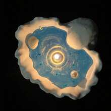 1PC Candle - Starfish And Shell Shaped Soy Wax Candles, Essential Oil Candles, Household Candles, Birthday, Christmas, Thanksgiving, Mother's Day, Women's Stress Relief Gifts, 100% Plant Based, No Animal Testing, Candle Accessories Random, Artificial Color Batches Available In Different Colors, But Does Not Affect Use, Some Decorative Accessories Are Random.