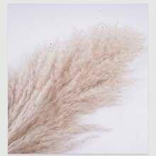 23.62/39.37 Inch Beige Pampas Grass, Boho Style Pampas Grass Decor, Fluffy Pampas Grass For Home Decor, Floor Vases, Walls And Farmhouse Dining Tables - Great For Christmas, Halloween, Easter, Thanksgiving, Graduation - Bulk Christmas Decorations Home Christmas Gifts Christmas Decor