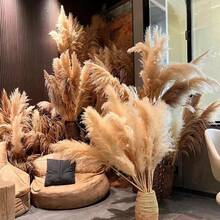 23.62/39.37 Inch Beige Pampas Grass, Boho Style Pampas Grass Decor, Fluffy Pampas Grass For Home Decor, Floor Vases, Walls And Farmhouse Dining Tables - Great For Christmas, Halloween, Easter, Thanksgiving, Graduation - Bulk Christmas Decorations Home Christmas Gifts Christmas Decor