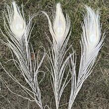 10pcs Faux Peacock Feather Decor Accessories, Suitable For Home Decor Or Flower Arrangement - Multicolor - View 14