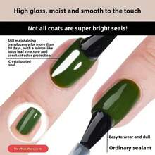1 件 10 毫升玻璃面漆持久透明橡胶面漆 LED UV 强化指甲高光泽面漆凝胶指甲油 - 彩色 - 查看 5