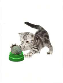1 pieza Bola de catnip para gatos, juguete para gatos con adhesivo, juguete para masticar para mascotas, suministros para mascotas, juguete para gatos, juguete para masticar y aliviar el aburrimiento para mascotas, adecuado para mascotas, juguete interactivo para gatos