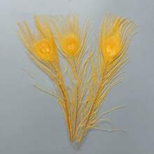 10pcs Faux Peacock Feather Decor Accessories, Suitable For Home Decor Or Flower Arrangement - Multicolor - View 15