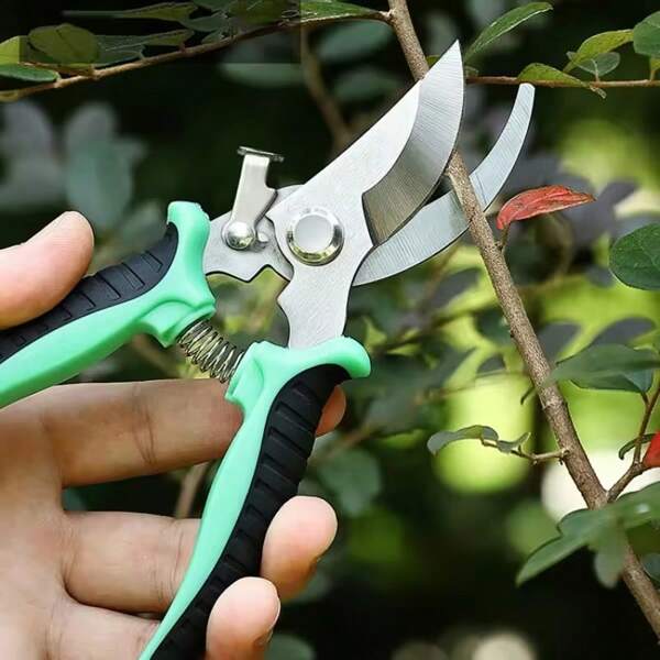 Tesoura de jardinagem de aço inoxidável para poda de galhos de bonsai e flores, tesoura para poda de uvas e pomares