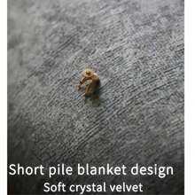 1pc Black Paw Print Crystal Velvet Doormat, Machine Washable, Entrance Mat, Floor Mat, Suitable For Entryway Decoration In Living Room, Porch Etc., New Arrival For Spring & Summer, Dirt-Resistant,
