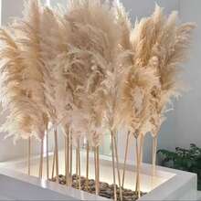 23.62/39.37 Inch Beige Pampas Grass, Boho Style Pampas Grass Decor, Fluffy Pampas Grass For Home Decor, Floor Vases, Walls And Farmhouse Dining Tables - Great For Christmas, Halloween, Easter, Thanksgiving, Graduation - Bulk Christmas Decorations Home Christmas Gifts Christmas Decor