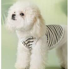 ملابس علوية وِسيط للحيوانات الأليفة بشكل نقطي قطعة واحدة، خفيف الوزن ومنفذ للهواء، مناسب للارتداء في المنزل والخارج، مناسب لتيدي وبوديل وبيشون فريز وشنوزر