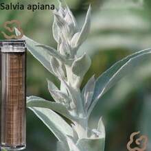 Around 40pcs 8 Floral Fragrance Cloud Shaped Aroma Diffuser, Long-Lasting Scent, Suitable For Home, Office, Club, Hotel And Yoga Studio, Great Gift For Holidays