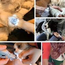 Un petit coupe-ongles pour animal est un outil de toilettage professionnel pour animaux de compagnie convenant aux chiens et aux chats. C'est un coupe-ongles sûr et facile à utiliser avec une poignée et une lame tranchante, convenant pour une coupe rapide et propre, adapté aux petits, moyens et gros animaux de compagnie. Coupe-ongles pour animaux de compagnie avec éclairage LED - Convient pour la coupe des ongles et des griffes des chats et des chiens, fait également office de collecteur d'ongles, avec des lames d'acier à coupe rapide