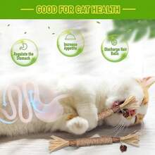 10 件/套猫磨牙棒 - 猫玩具、自娱自乐耐咬猫球、猫逗猫棒、猫用品猫用小玩意