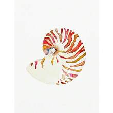 1 pièce Impression sur canevas d'art mural d'images de coquillage, conque, corail, baleine, vie marine pour la décoration de maison de plage, cadre en option - Multicolore - Voir 34