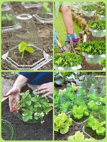 5/10pcs Reusable Plant Protective Cover With Ventilation Holes - Insect And Frost Protection For Vegetables, Flowers And Seedlings, Durable Plant Guard For All Seasons - Multicolor - View 4