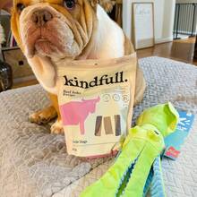 Billy The Squid Dog Toy - Green - Green - View 6