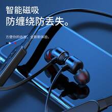 Sports Headphones