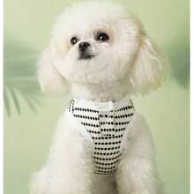 ملابس علوية وِسيط للحيوانات الأليفة بشكل نقطي قطعة واحدة، خفيف الوزن ومنفذ للهواء، مناسب للارتداء في المنزل والخارج، مناسب لتيدي وبوديل وبيشون فريز وشنوزر