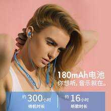 Sports Headphones
