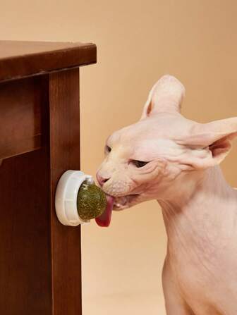 PETSIN 1 件装 猫薄荷球 猫玩具 互动逗猫棒 宠物咀嚼玩具