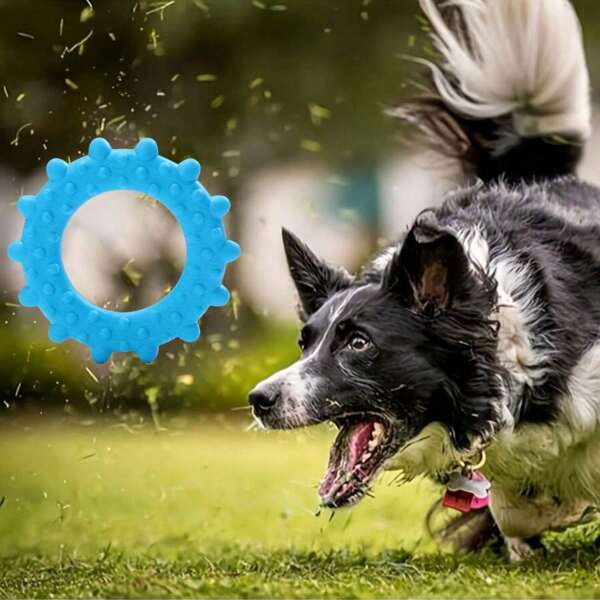 Brinquedo para animais de estimação em formato de sol, um brinquedo de borracha durável e resistente a mordidas que promove a saúde dos dentes e gengivas. Acessório perfeito para jogos, este brinquedo para cães é um presente surpresa para cães, permitindo que você se divirta brincando com seus animais de estimação na praia durante o verão quente.