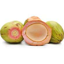 Dwarf Pink Coconut Seed (Cocos Nucifera) Wulung - 1pack - View 5