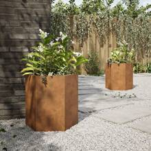 Pots de fleurs et jardinières